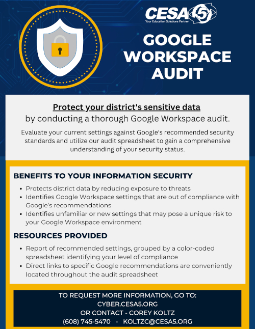 Google Workspace Audit