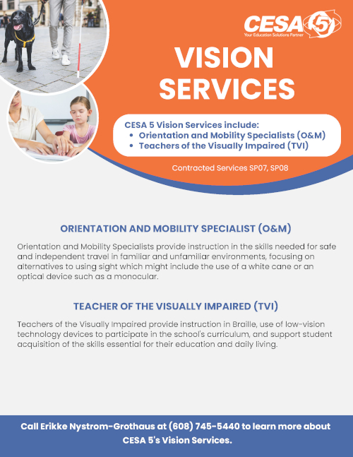 SP08 09 Vision Services